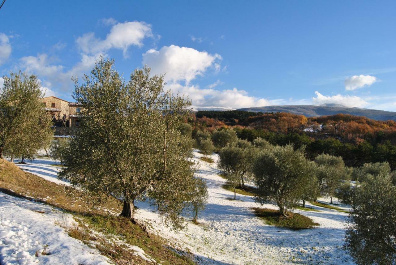 הוילה Seggiano Casa Fioranna מראה חיצוני תמונה