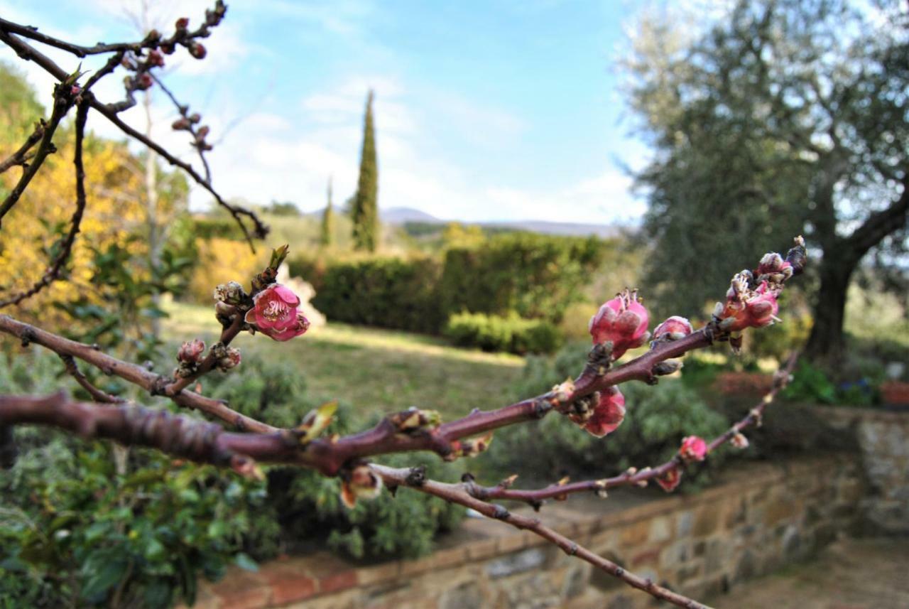 הוילה Seggiano Casa Fioranna מראה חיצוני תמונה